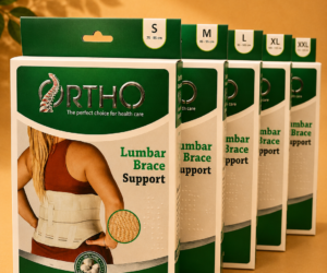 Ortho Lumbar Brace Support